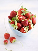 Fresh Organic Strawberries in a Blue Bowl