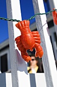 Outdoor Lobster Lights on a Deck