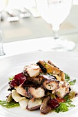Insalata di polipo (grilled octopus with olives and raddichio)