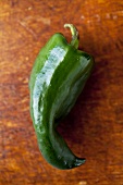 Whole Poblano Chili Pepper