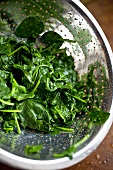 Blanched Spinach in a Colander