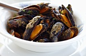 Bowl of Fresh Mussels