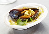 Single Mussel with Pistachio Nuts on Small White Dish