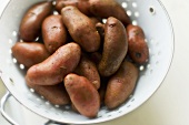 French Red Fingerling Potatoes on a Colander; From Above