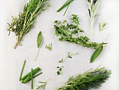 Fresh Herbs; Oregano, Rosemary, Sage and Chives