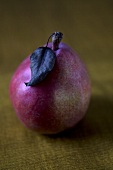 Single Red Pear with Leaf