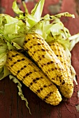 Grilled corn cobs with butter