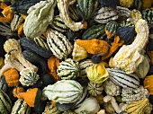 Assorted Gourds