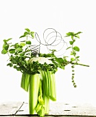 Celery and a wreath of herbs