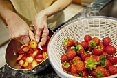 Person Slicing Freshly Washed Strawberries into a Bowl