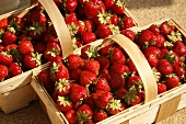Wooden Baskets of Fresh Organic Strawberries