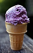 Black Raspberry Ice Cream Cone; Outdoors