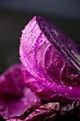 Purple Cabbage; Wet