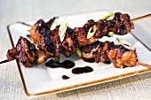 Yakitori on a Plate with Scallions