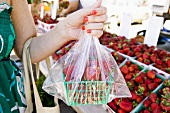 Woman Purchasing Fresh Strawberries at a Farmer's Market; Holding Container of Strawberries in a Plastic Bag
