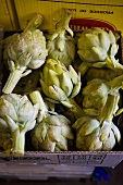 Fresh Artichokes in a Box