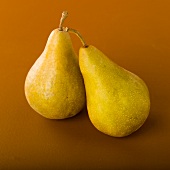 Two Bosc Pears