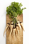 Parsnips Bundled at the Stems; On Cutting Board; From Above
