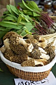 Wild Morel Mushrooms in a Basket at Farmer's Market