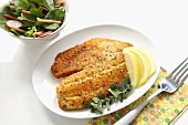 Fried Fish with Lemon Wedges and a Side Salad