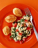 Spinach Ricotta Scrambled Eggs with Tomato; On a Red Plate; From Above