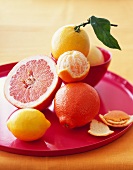 Various types of citrus fruit