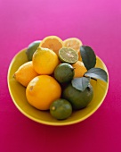 Lemons and limes in a bowl