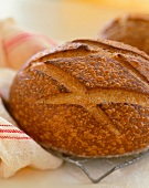 Freshly Baked Loaf of Sourdough Bread