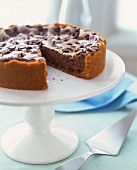 Chocolate Cheesecake with Chocolate Chips; Slice Removed