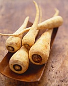Whole Parsnips on a Dish
