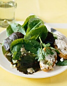 Mixed leaf salad with goat's cheese croutons and Parmesan dressing