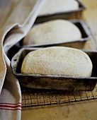 Bread in Loaf Pans