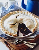 Blueberry Pie with a Slice Removed