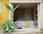 Blick in ein einfaches Schlafzimmer mit Doppelbett mit Zebrabettwäsche und exotischen Pflanzen vor der Terrassentür