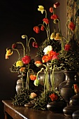 Various different coloured poppies and an antique jug against in front of dark background