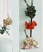 Small bouquets of berries as wall decoration