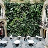 Begrünte Fassade im Innenhof klassischer Architektur, möbliert mit Tischen und Stühlen