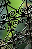 A wrought iron fence (detail)