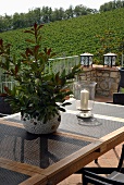 Plant pot and lantern on a patio table with a view of a vineyard