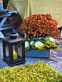 Autumnal atmosphere - a lantern with a burning candle and autumn aster in a box