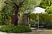 Gravel patio with a tree and garden furniture under a sun umbrella in front of a hedge