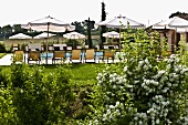 View across a blooming garden on lounge chairs with sun umbrellas