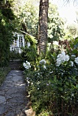 Pathway made of natural stone through a tropical garden with steps to a country home