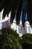 Palms in front of a villa with an elegant facade
