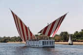 Fähre mit gespannten Segeln rot-weiss gestreift auf dem Fluss mit Blick auf Dschungel, Nil, Ägypten