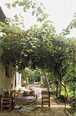 Old Mediterranean country home with a paved terrace under a pergola