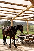 A saddled horse on a terrace under a pergola in front of a set table