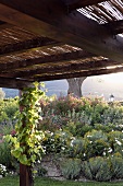 Strohdach über Terrasse mit Blick auf den Garten