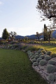 Terraced areas in a professionally designed garden in a Mediterranean landscape