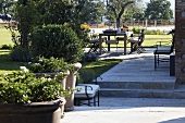 Pflanzenkübel auf Terrasse und Blick auf gedeckten Tisch im Mediterraner Garten